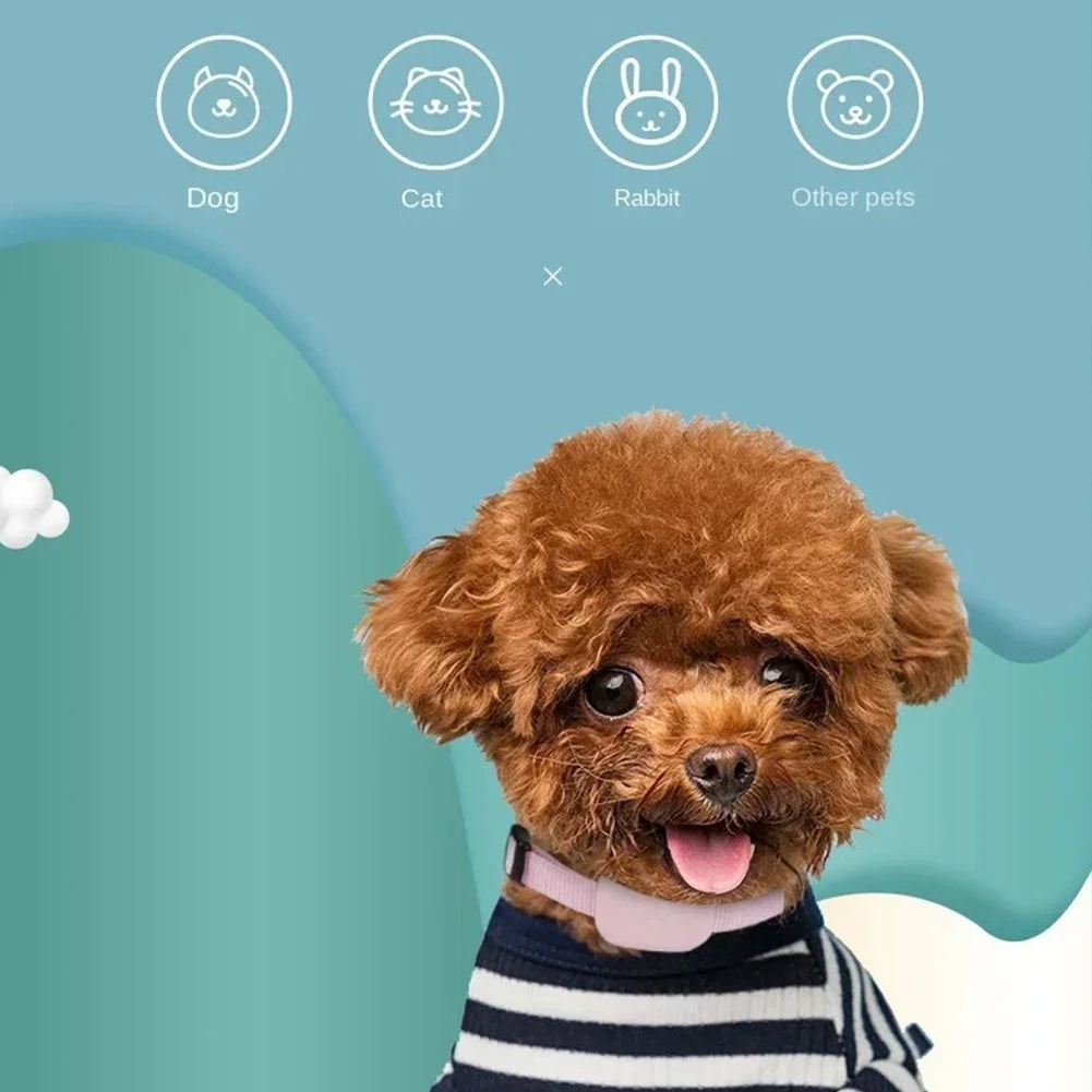 Rastreador GPS para Mascotas con Collar Ajustable