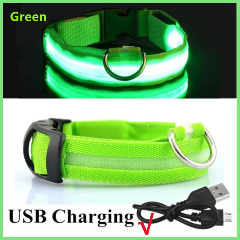 Collar Luminoso Recargable por USB, Collar Ajustable con Luz LED