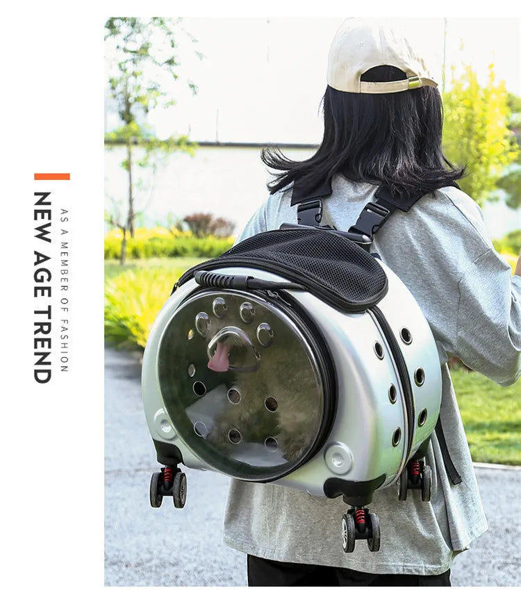 Bolsa transparente para gatos, transportador multiusos de doble hombro para gatos