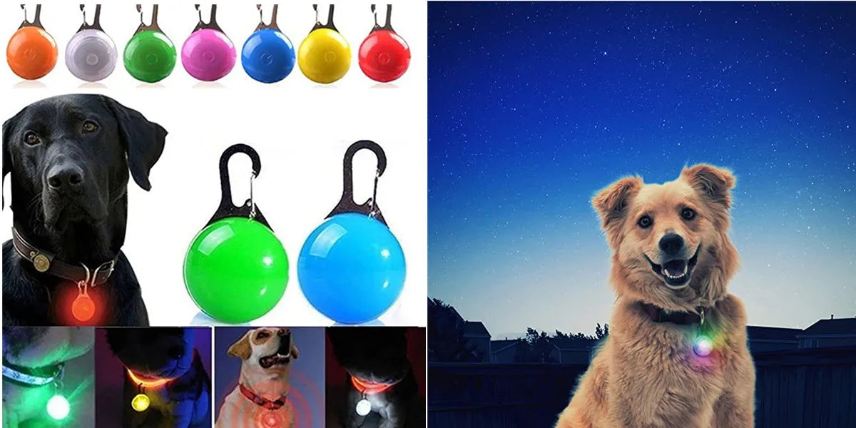 Collar Luminoso Recargable por USB, Collar Ajustable con Luz LED