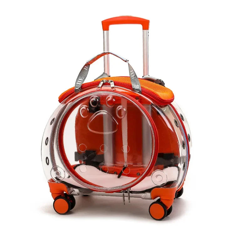 Bolsa transparente para gatos, transportador multiusos de doble hombro para gatos
