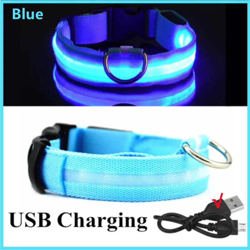 Collar Luminoso Recargable por USB, Collar Ajustable con Luz LED
