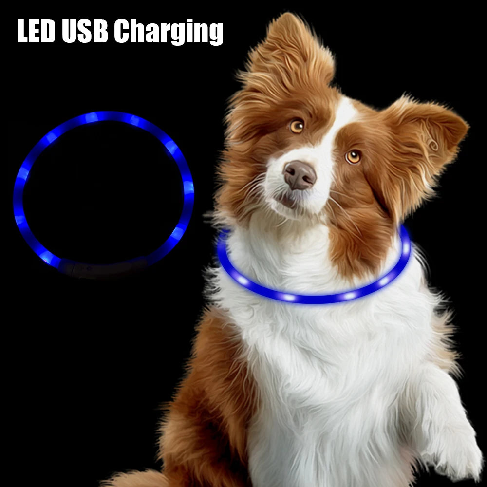 Collar Led Usb para perro, Collar de carga luminosa nocturna