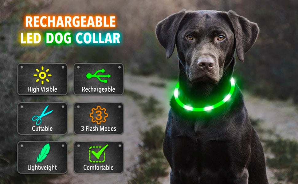 Collar Luminoso Recargable por USB, Collar Ajustable con Luz LED