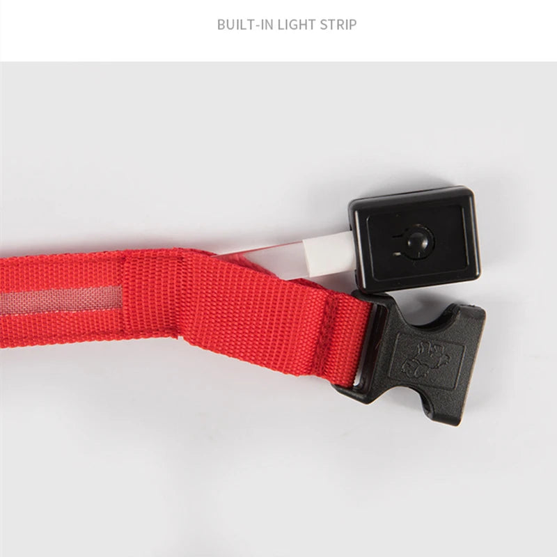 Collar Luminoso Recargable por USB, Collar Ajustable con Luz LED