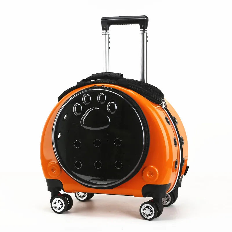 Bolsa transparente para gatos, transportador multiusos de doble hombro para gatos