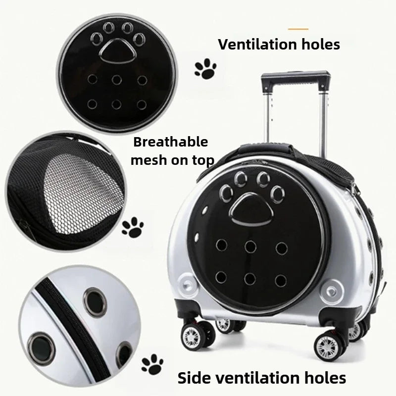Bolsa transparente para gatos, transportador multiusos de doble hombro para gatos