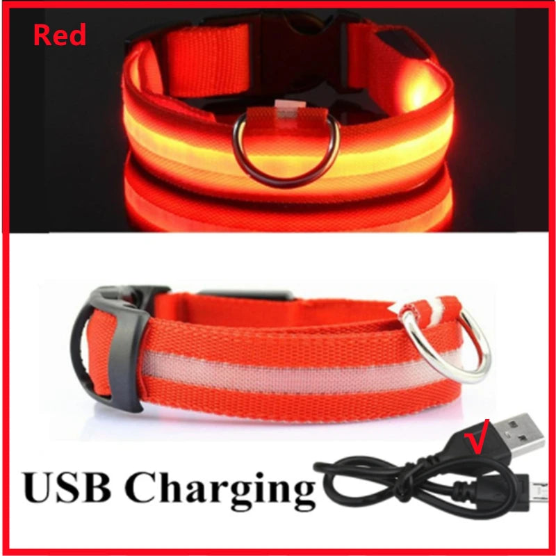 Collar Luminoso Recargable por USB, Collar Ajustable con Luz LED