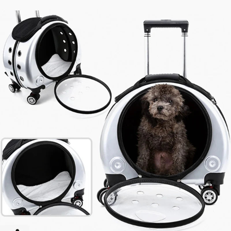 Bolsa transparente para gatos, transportador multiusos de doble hombro para gatos