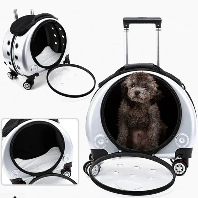 Bolsa transparente para gatos, transportador multiusos de doble hombro para gatos