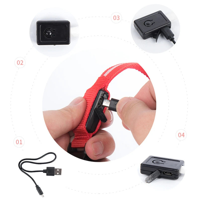 Collar Luminoso Recargable por USB, Collar Ajustable con Luz LED