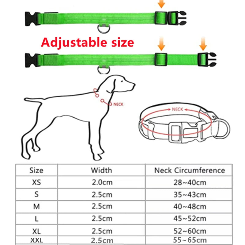 Collar Luminoso Recargable por USB, Collar Ajustable con Luz LED