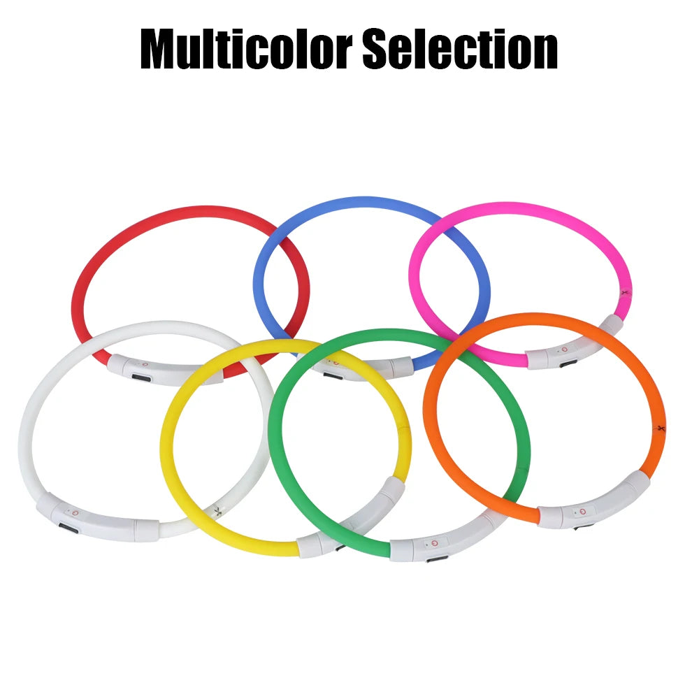 Collar Led Usb para perro, Collar de carga luminosa nocturna
