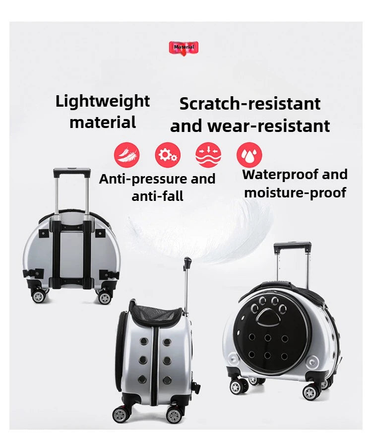 Bolsa transparente para gatos, transportador multiusos de doble hombro para gatos