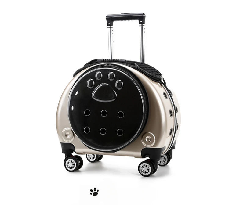 Bolsa transparente para gatos, transportador multiusos de doble hombro para gatos
