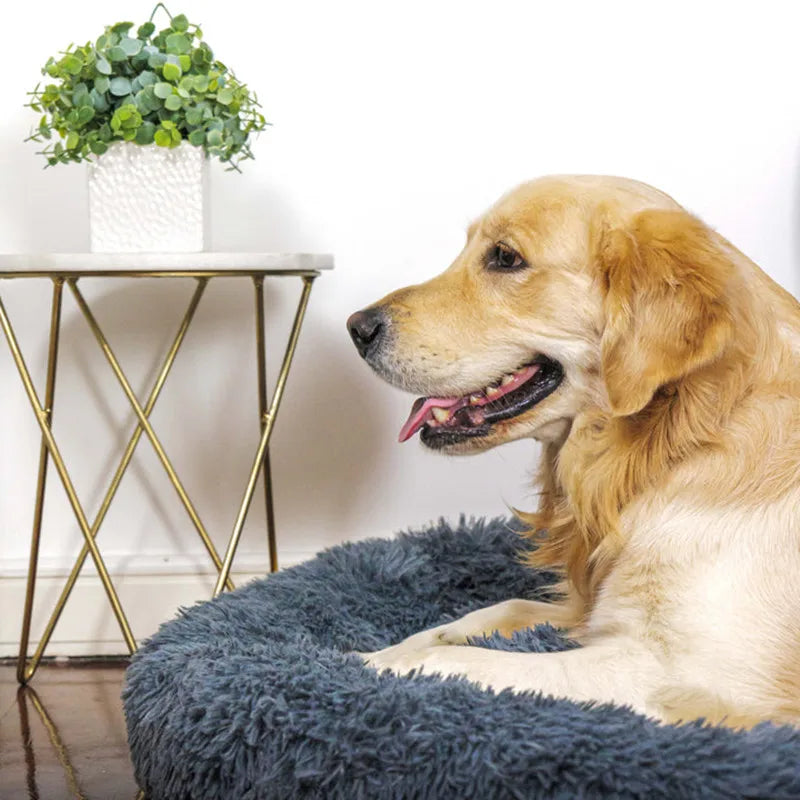 Cama supersuave para perro y gato, cama de felpa de tamaño completo, lavable,