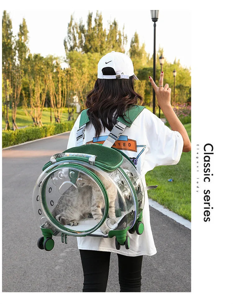 Bolsa transparente para gatos, transportador multiusos de doble hombro para gatos