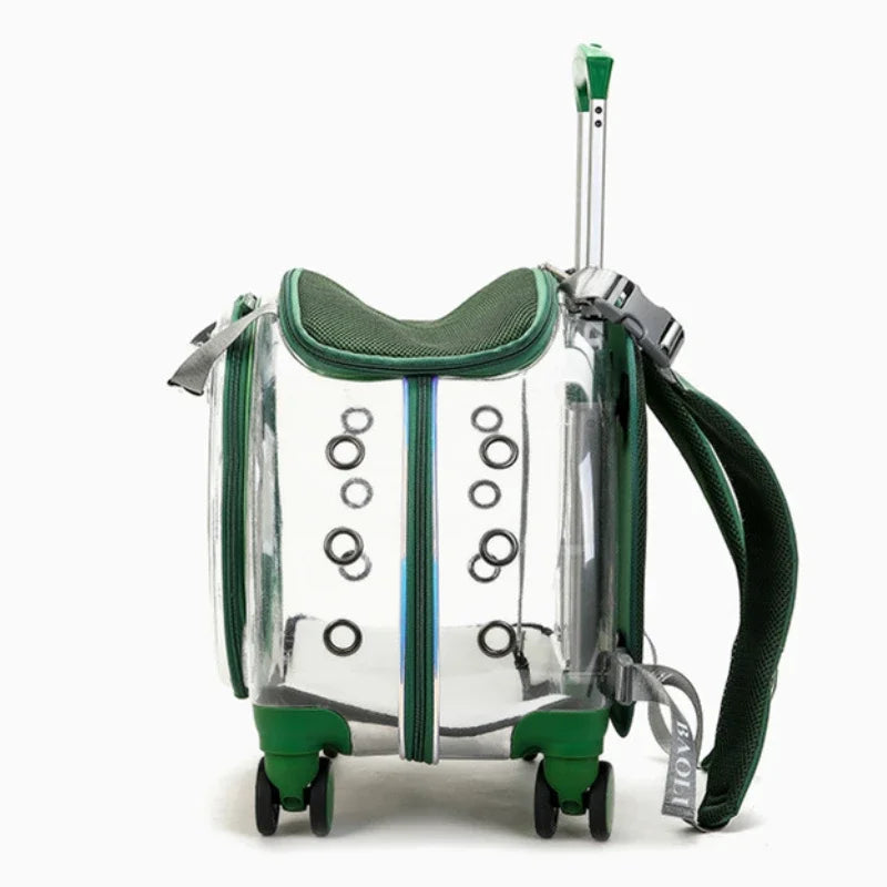 Bolsa transparente para gatos, transportador multiusos de doble hombro para gatos