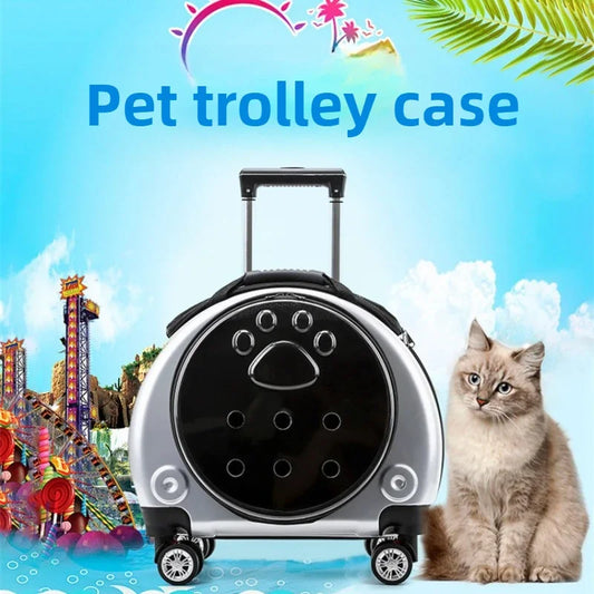 Bolsa transparente para gatos, transportador multiusos de doble hombro para gatos