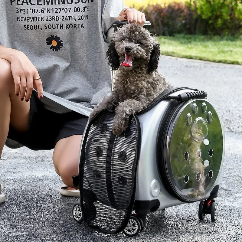 Bolsa transparente para gatos, transportador multiusos de doble hombro para gatos