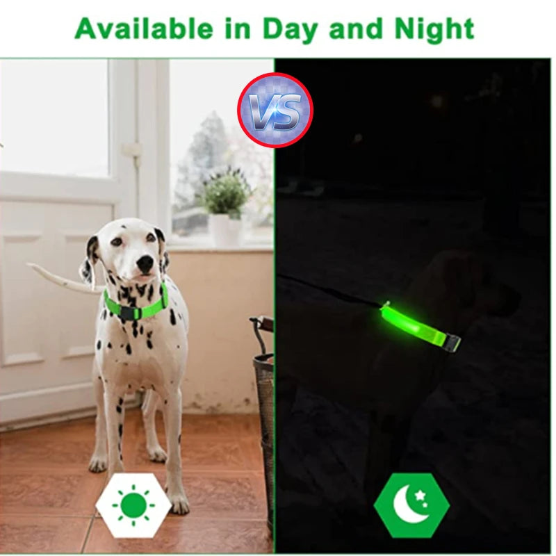 Collar Luminoso Recargable por USB, Collar Ajustable con Luz LED