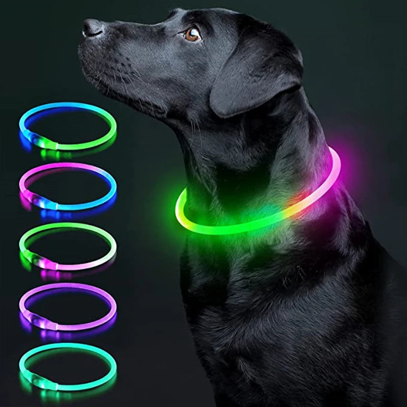 Collar Luminoso Recargable por USB, Collar Ajustable con Luz LED