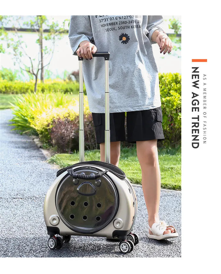 Bolsa transparente para gatos, transportador multiusos de doble hombro para gatos