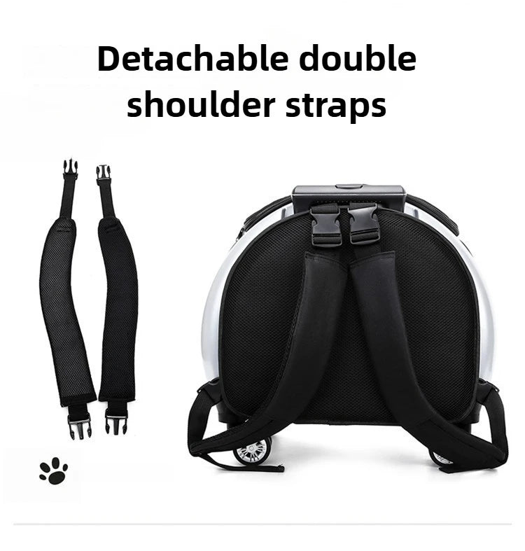 Bolsa transparente para gatos, transportador multiusos de doble hombro para gatos