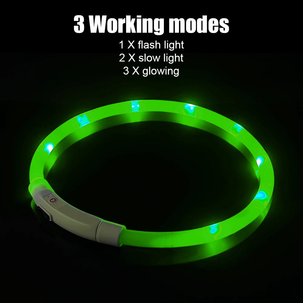 Collar Led Usb para perro, Collar de carga luminosa nocturna