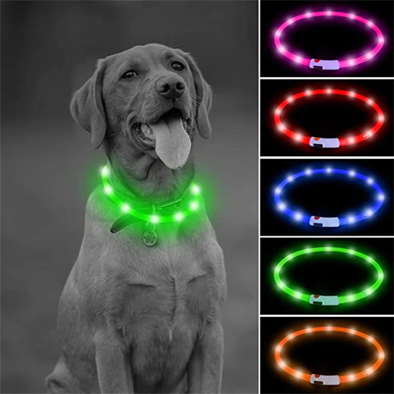 Collar Luminoso Recargable por USB, Collar Ajustable con Luz LED