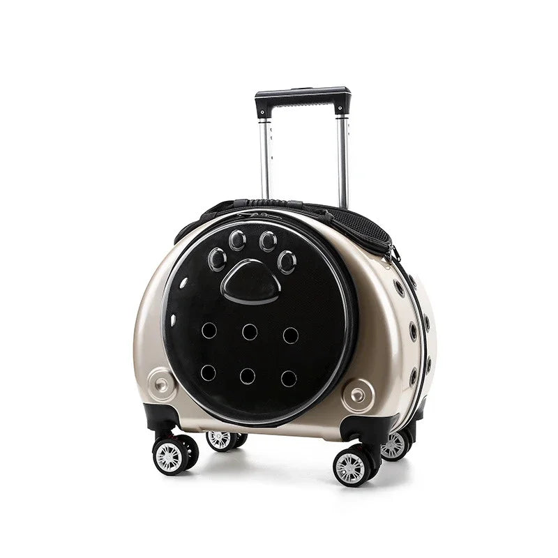Bolsa transparente para gatos, transportador multiusos de doble hombro para gatos