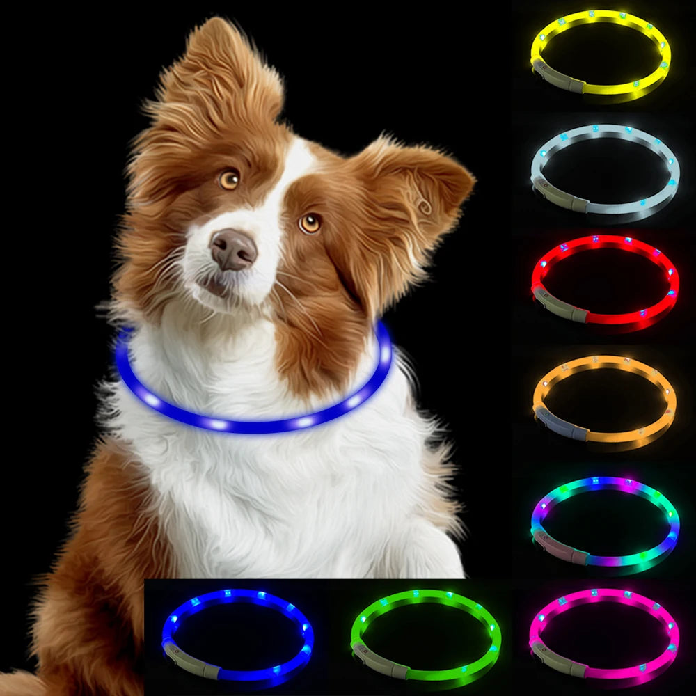 Collar Led Usb para perro, Collar de carga luminosa nocturna