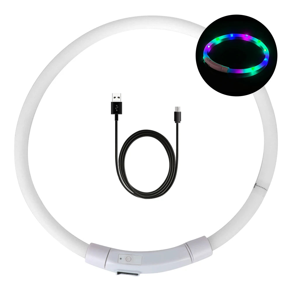 Collar Led Usb para perro, Collar de carga luminosa nocturna