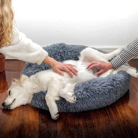 Cama supersuave para perro y gato, cama de felpa de tamaño completo, lavable,