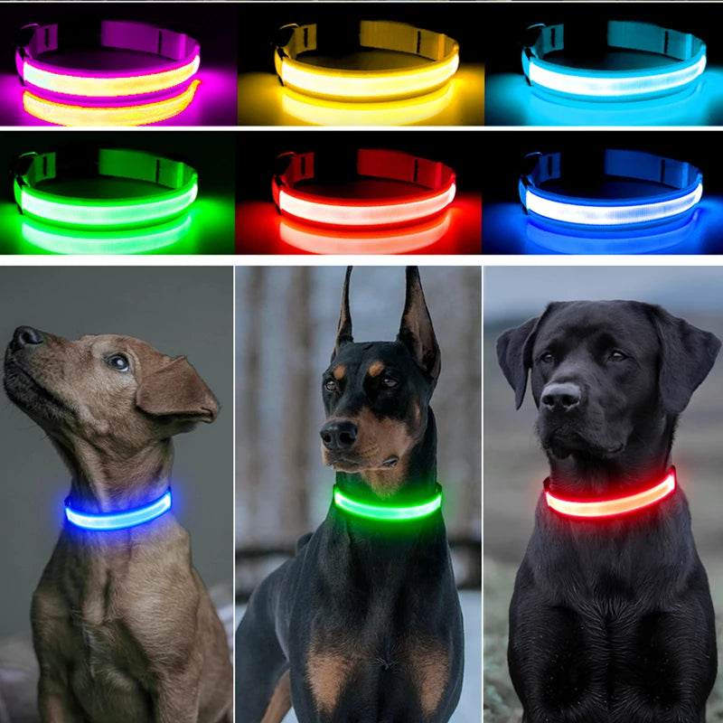 Collar Luminoso Recargable por USB, Collar Ajustable con Luz LED