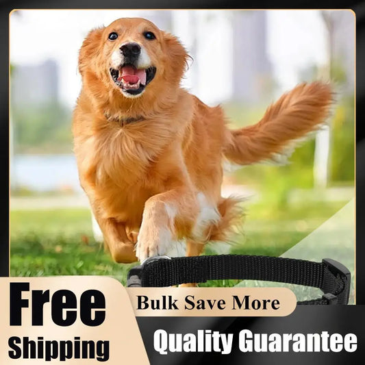 Rastreador GPS para Mascotas con Collar Ajustable