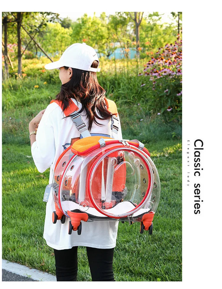 Bolsa transparente para gatos, transportador multiusos de doble hombro para gatos