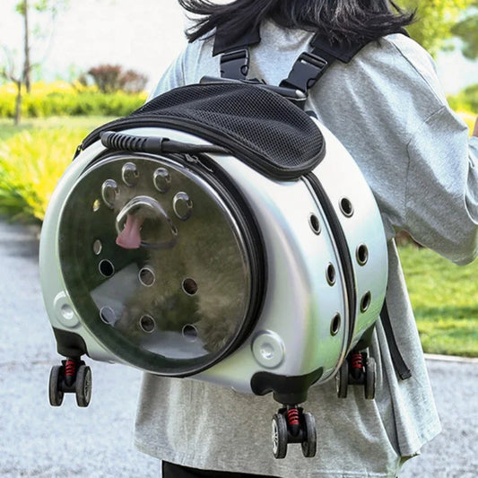 Bolsa transparente para gatos, transportador multiusos de doble hombro para gatos