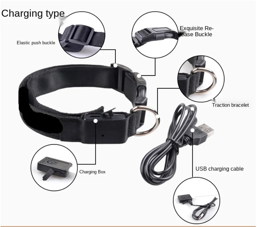 Collar Luminoso Recargable por USB, Collar Ajustable con Luz LED
