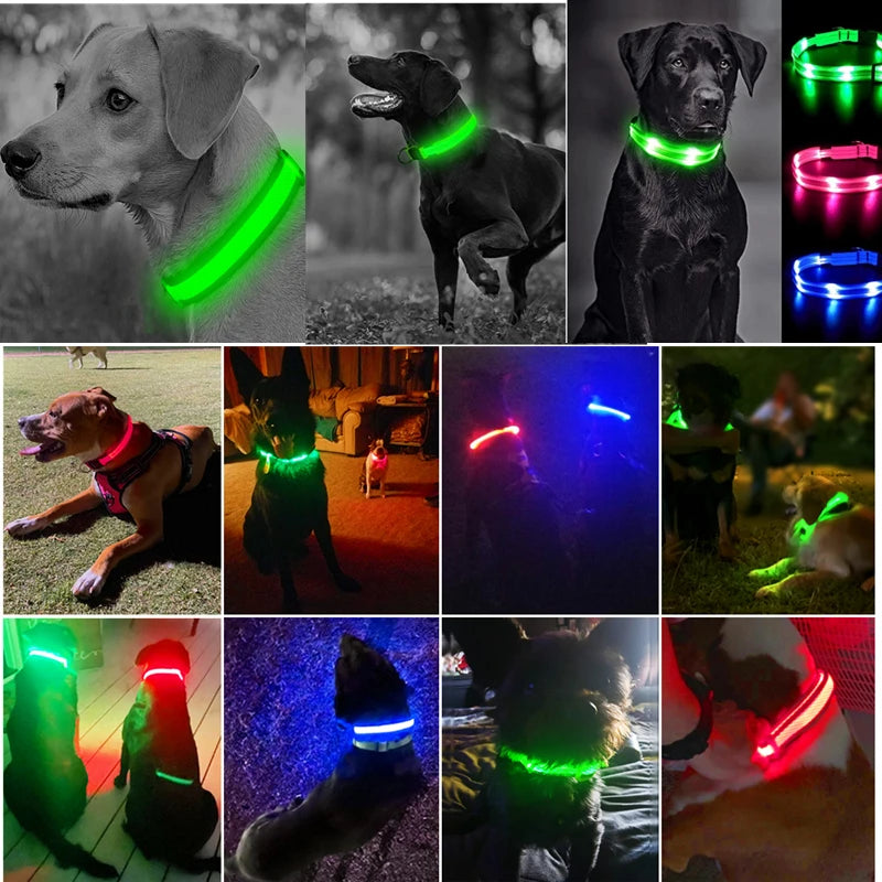 Collar Luminoso Recargable por USB, Collar Ajustable con Luz LED