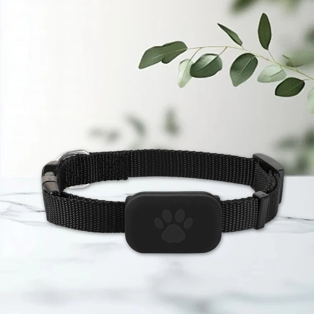 Rastreador GPS para Mascotas con Collar Ajustable