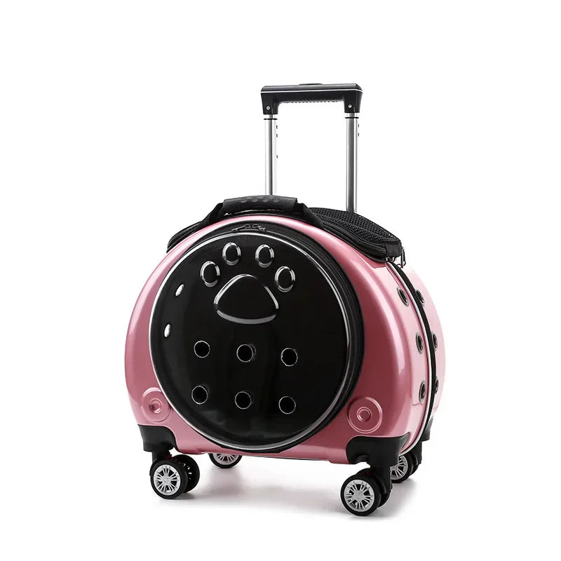 Bolsa transparente para gatos, transportador multiusos de doble hombro para gatos