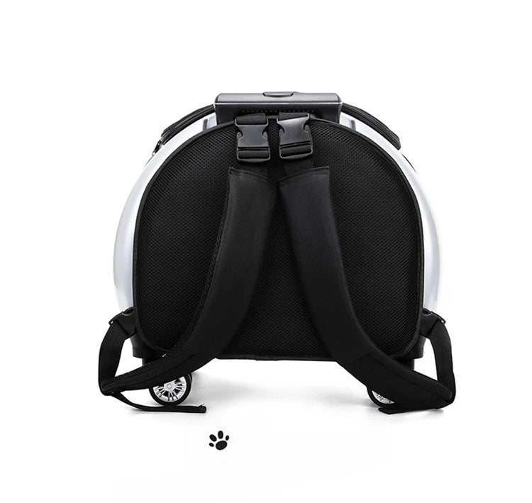 Bolsa transparente para gatos, transportador multiusos de doble hombro para gatos