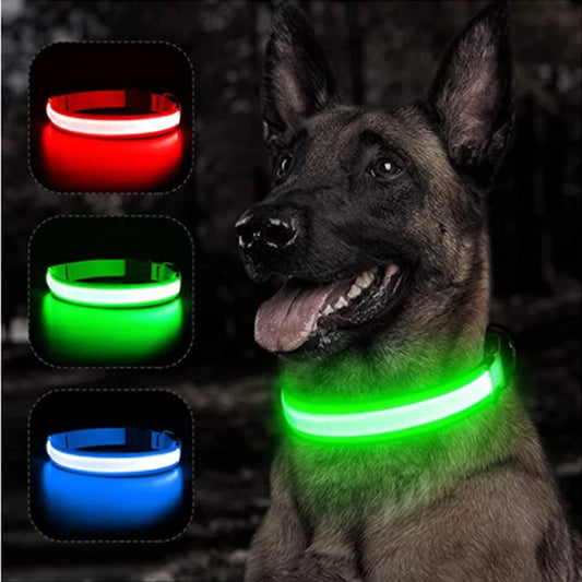 Collar Luminoso Recargable por USB, Collar Ajustable con Luz LED