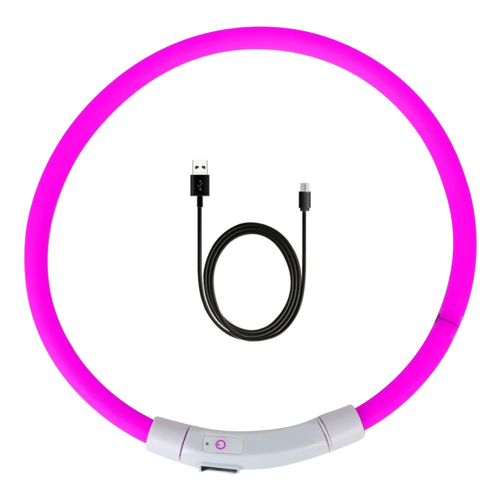 Collar Led Usb para perro, Collar de carga luminosa nocturna