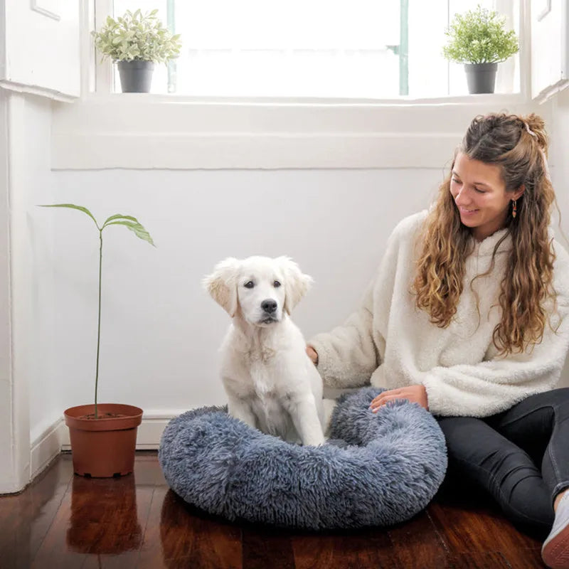 Cama supersuave para perro y gato, cama de felpa de tamaño completo, lavable,