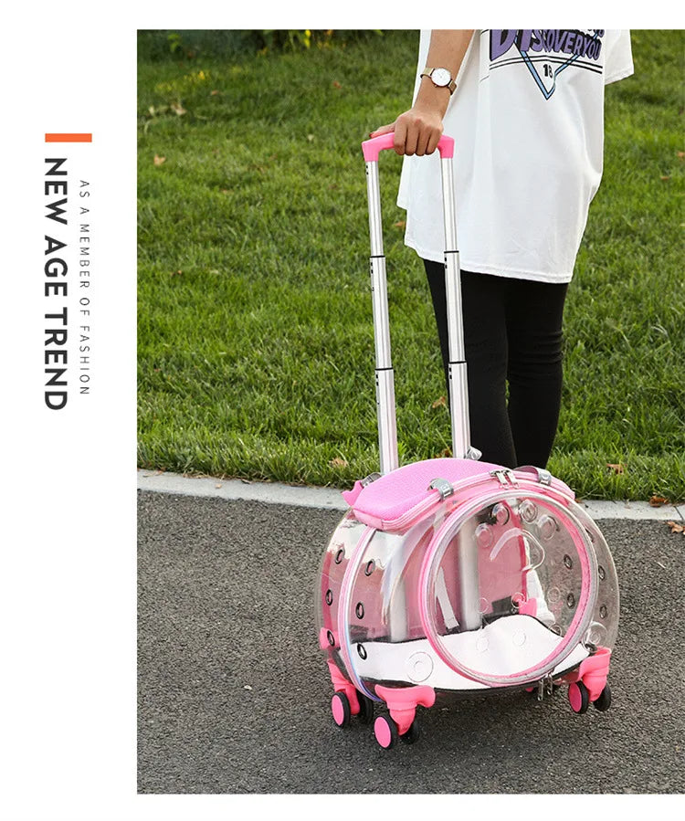 Bolsa transparente para gatos, transportador multiusos de doble hombro para gatos