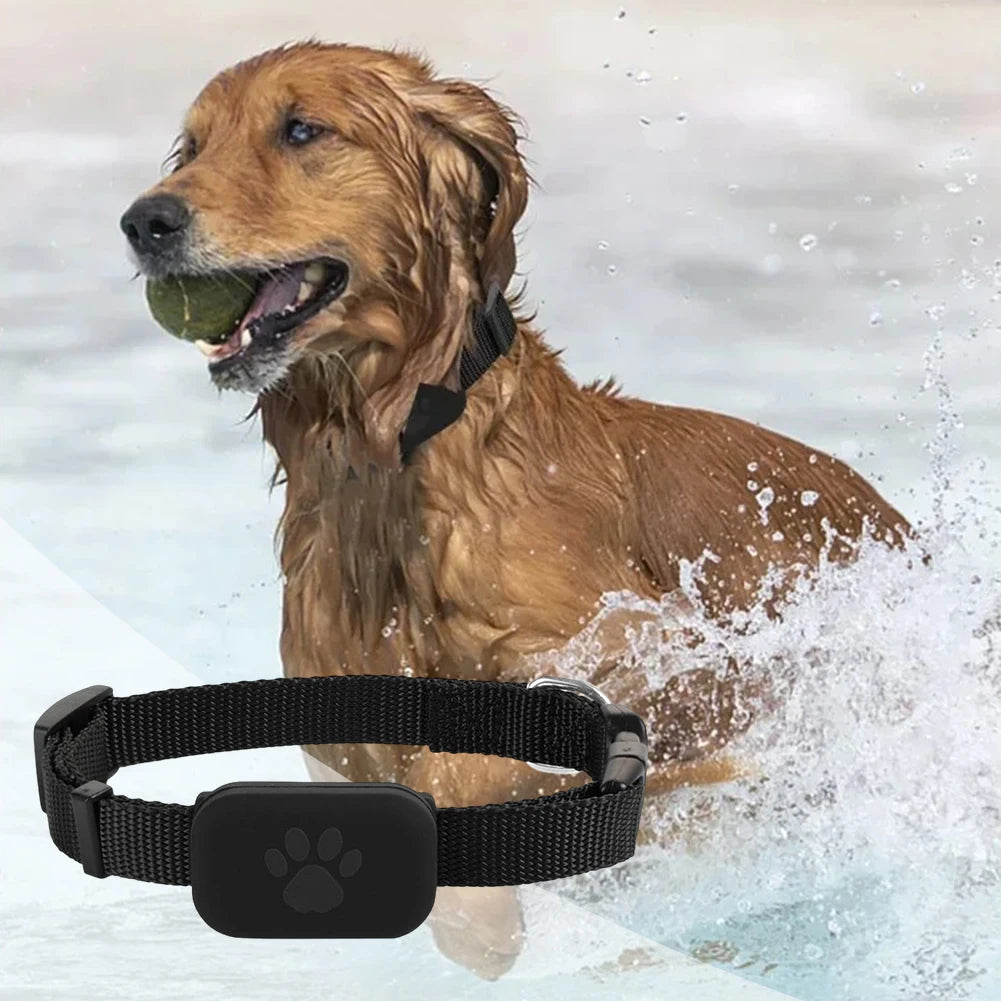 Rastreador GPS para Mascotas con Collar Ajustable
