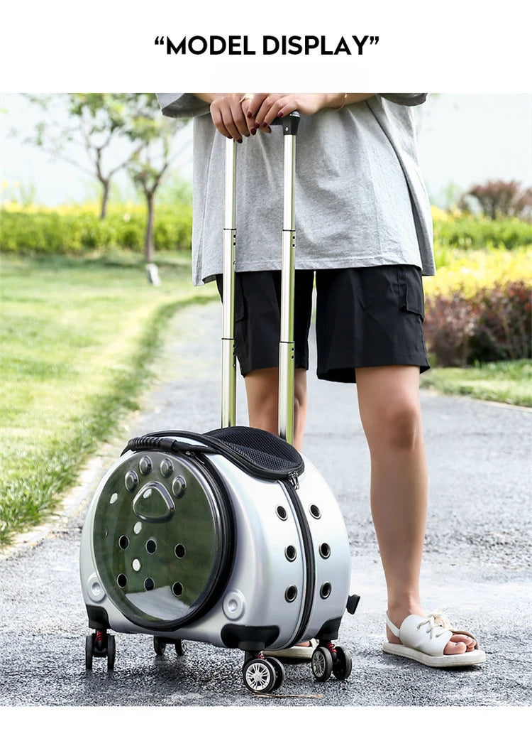 Bolsa transparente para gatos, transportador multiusos de doble hombro para gatos