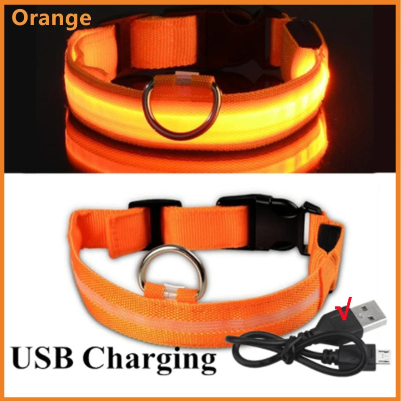 Collar Luminoso Recargable por USB, Collar Ajustable con Luz LED